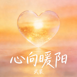 心向暖阳-武装