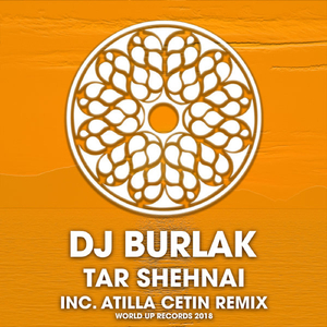 Tar Shehnai (Original Mix)