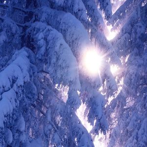 云端合唱的赞美诗