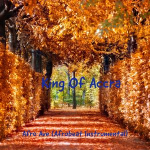 Afro Ave (Afrobeat Instrumental) (Instrumental)