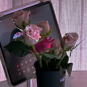 皮囊（Prodby Lv9）