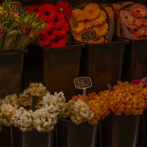 I don‘t wanna see u anymore