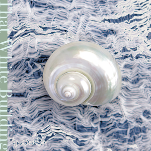 华丽大泳池 (feat. 海绵泡泡Spongepop & 彭喜悦) (A Perfect Swimming Pool)