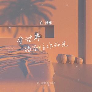 全世界挡不住你的光