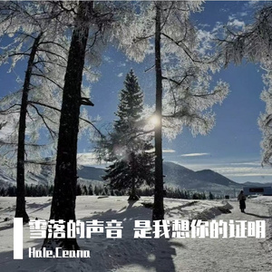 雪落的声音 是我想你的证明