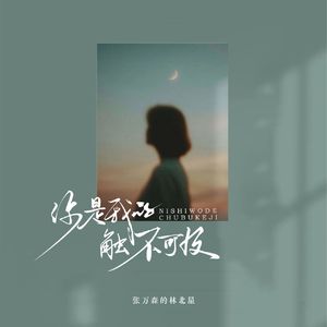 你是我的触不可及