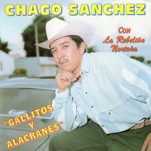Gallitos y Alacranes