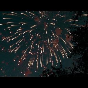 暖かい生き物（翻自 初音ミク）