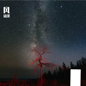 相伴岁月的温柔画卷