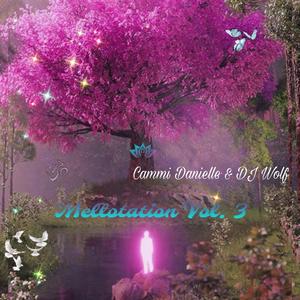 The Reason (feat. DJ Wolf)