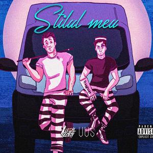 Stilul Meu (feat. Sica)