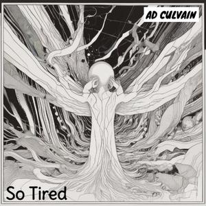 So tired 2025 The Cake Mix