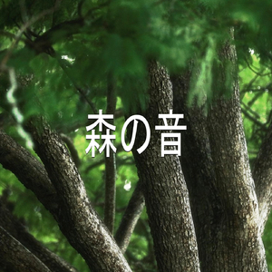 森の音、パート17