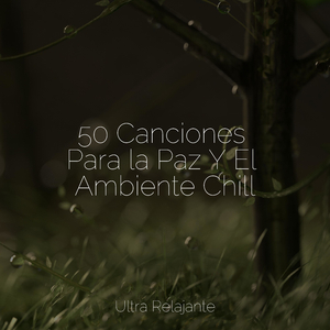 Hojas Revoloteando Hacia Abajo