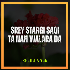 Sre Stargi Khumari Nasha Nasha Garzawi