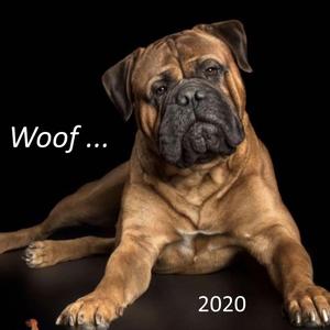 Interrupted (feat. Aaron Orbit)