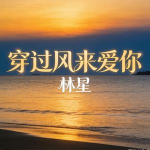 穿过风来爱你