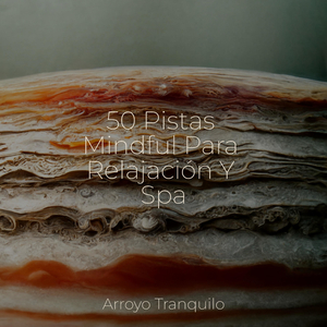 Meditación En Esterilla