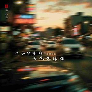 我为你喝醉为你流眼泪（翻自 何欢浪）