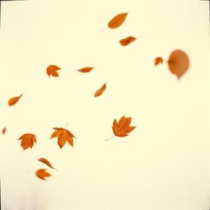 วินาทีสุดท้าย