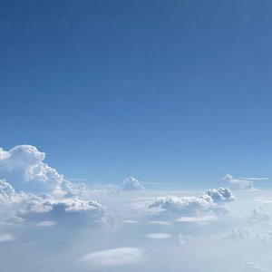 不要对这个世界失望