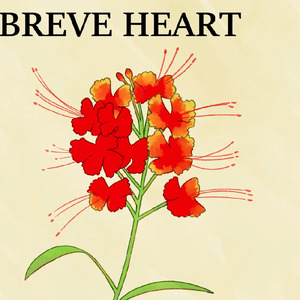 BRAVE HEART