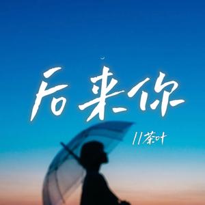 后来你(伴奏)