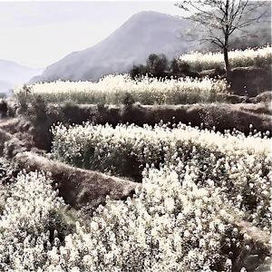 巫山绝壁镇悬棺