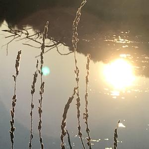 Untitled 17