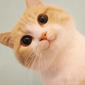 我有所念人隔在远远乡我有所感事