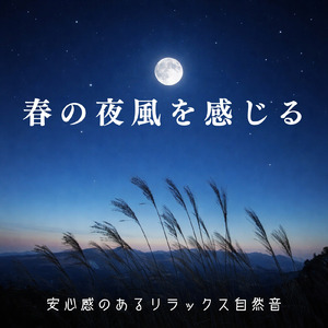 寝る前に聴く睡眠導入自然音 穏やかな夜へ溶け込むヒーリングサウンド