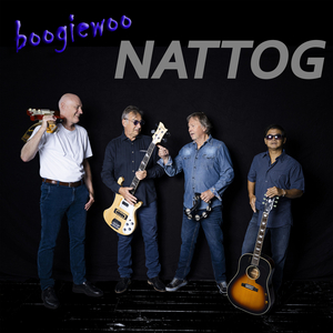 Nattog