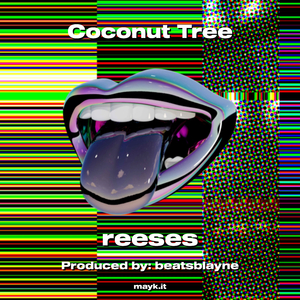 Coconut Tree