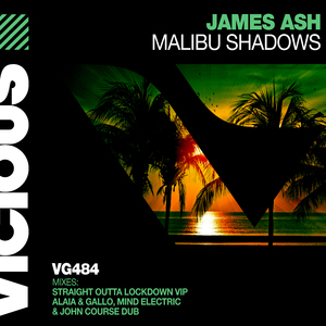 Malibu Shadows (James Ash Straight Outta Lockdown VIP mix)