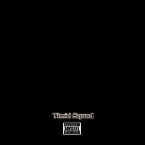 Timid Squad 2022 Cypher