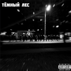 Тёмный лес