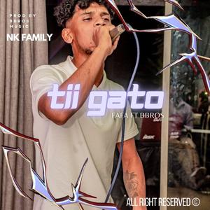 TI GATO