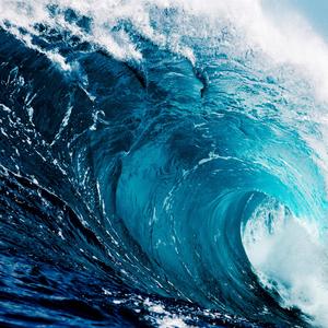 Barreled