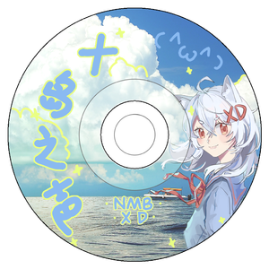 追逐星空的鸽子