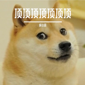 向阳生长的恋曲