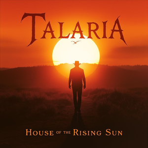 House of the Rising Sun (Cover)