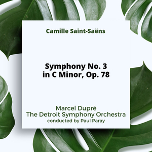 Symphony No 3 In C Minor, Op. 78: Adagio; Allegro Moderato