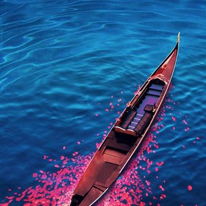 我把相思酿成酒