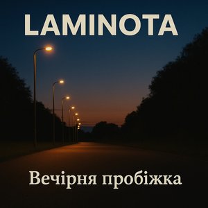 Вечірня пробіжка