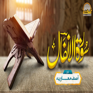 Nigah E Muhabbat Me Malka Hai Biwi