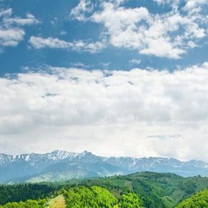 感动天感动地-宇桐非