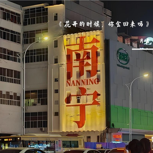 《花开的时候，你会回来吗》