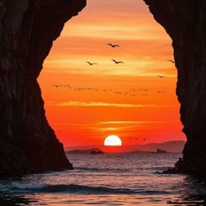 鲸落（钢琴曲）