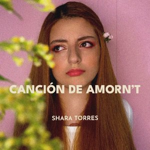 Canción de amorn't