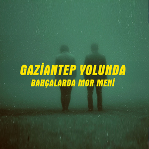 Gaziantep Yolunda (Bahçalarda Mor Meni)